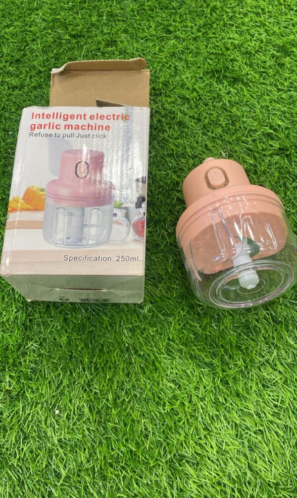 Garlic Chopper 250ml