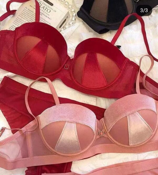 Bra And Panty Set WITH FRONT VELVET FABRIC